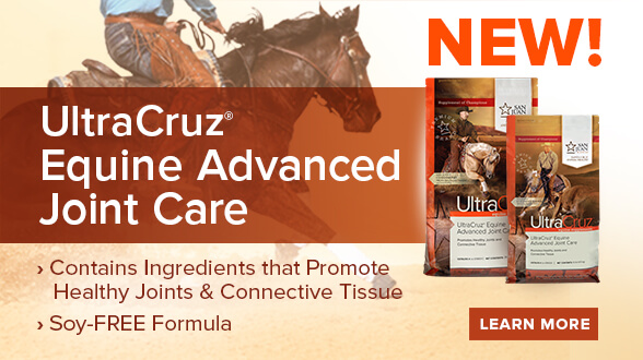 New UltraCruz Equine Advanced Joint Care, click to learn more