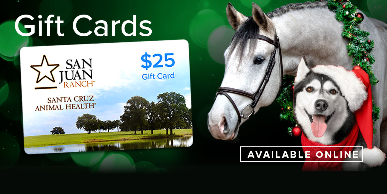 Holiday themed horse and dog advertising SCAH gift cards