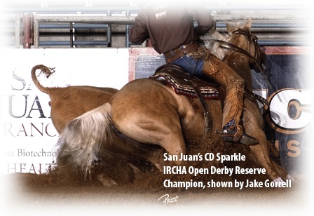 Integratore di supporto gastrico per cavalli - Jake Gorrell CD di equitazione Sparkle al Derby Open IRCHA Riserva