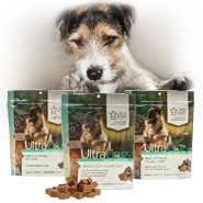 Dog Skin and Coat Supplement - Dog with packaging