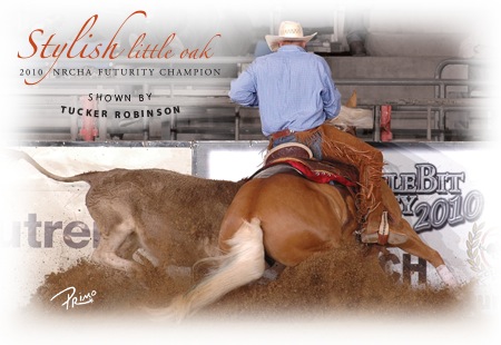 Suplemento para articulações do cavalo - Tucker Robinson montando Stylish Little Oak no NRCHA Furturity 2010