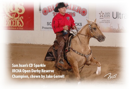 Jake Gorrell reitet CD Sparkle