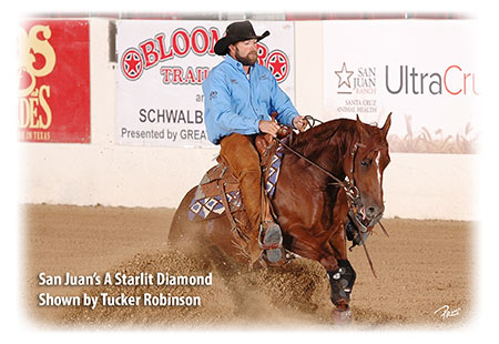 Supplément articulaire pour chevaux, niveau avancé - Un cheval de concours brun nommé A Starlit Diamond monté par Tucker Robinson