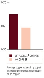 UltraCruz Cattle Copper Bolus for adults