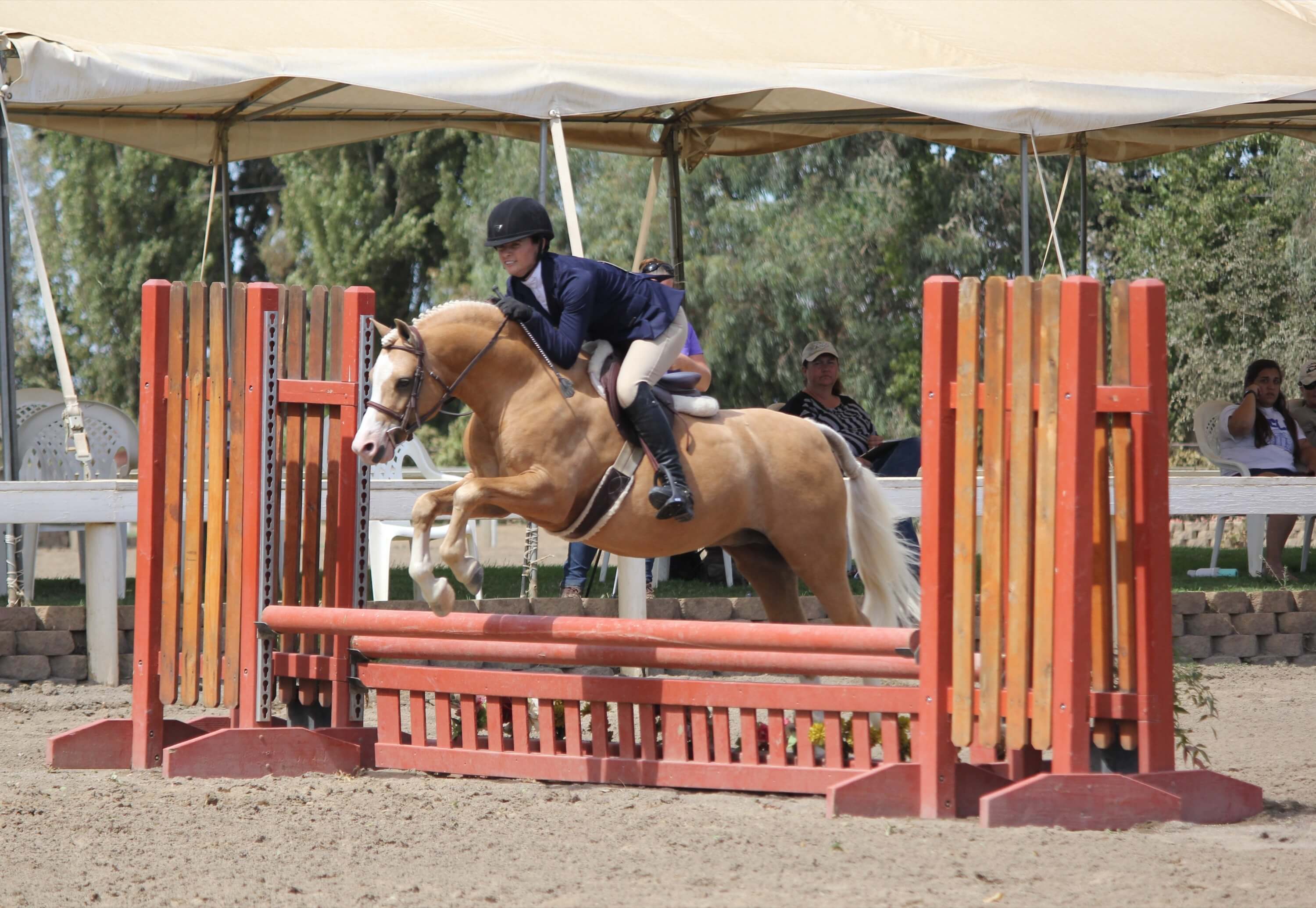 A rider and horse jumping over an orange obstacle