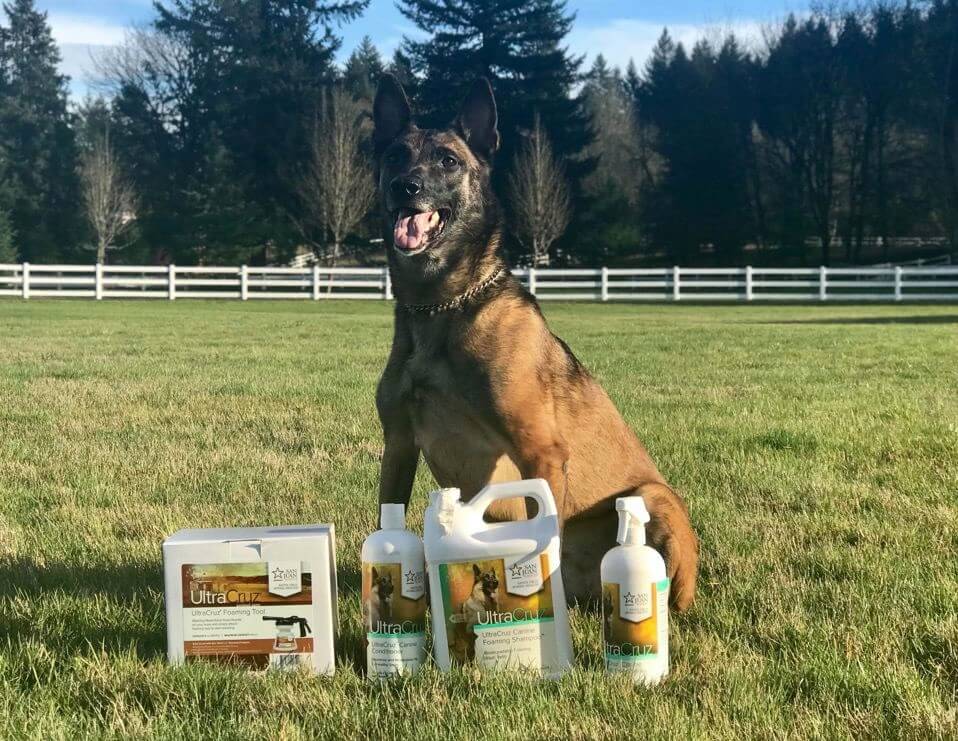 A german shepherd outside next to bottles of dog products