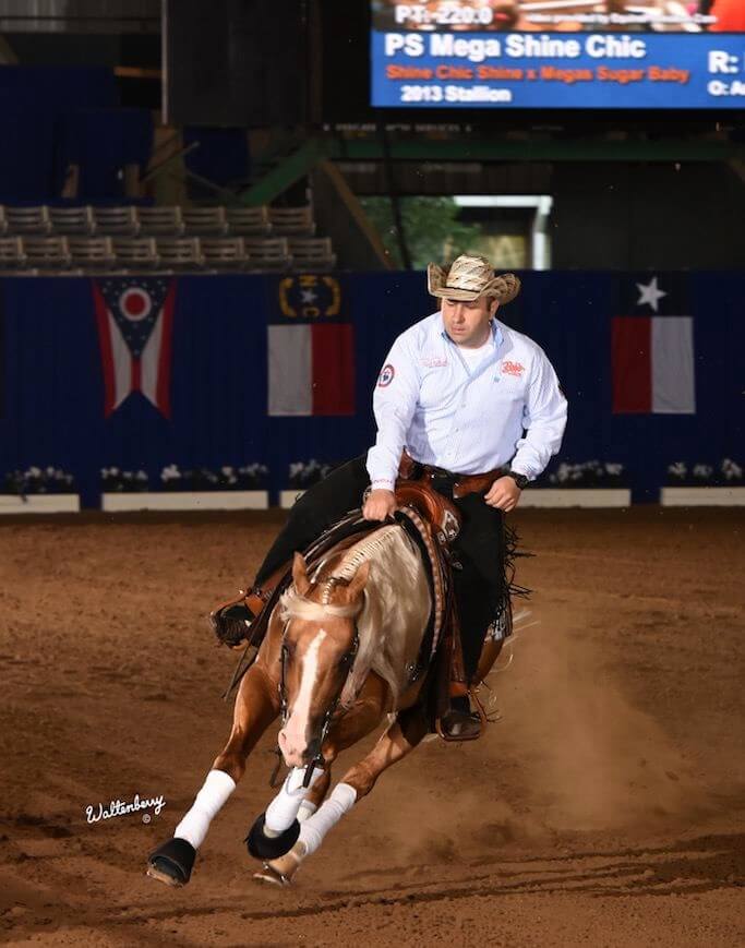 Dany Tremblay riding a brown speckled horse at a competition