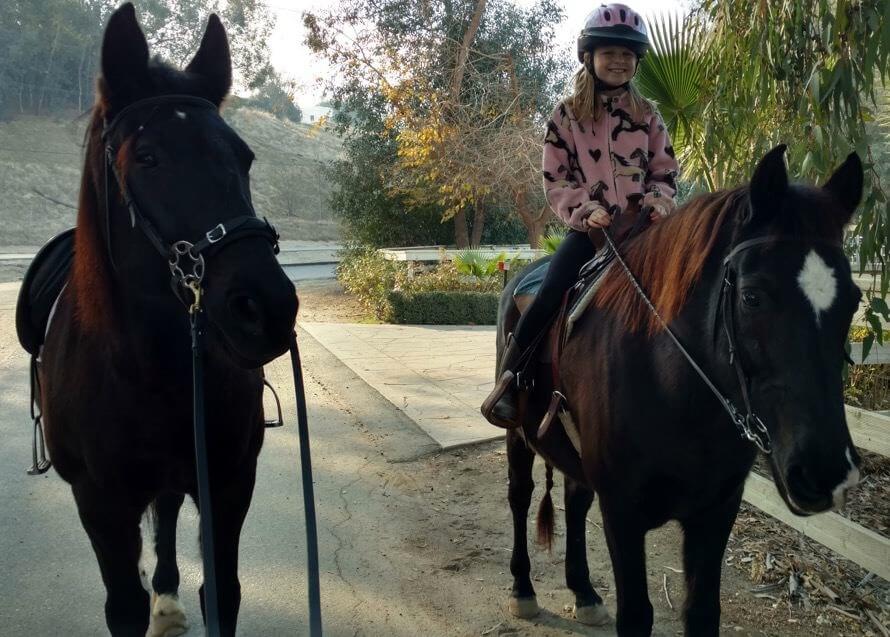 Two horses, with a young girl riding one of them