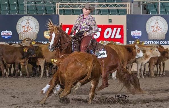 A rider on a brown horse rounding up cows for a competition