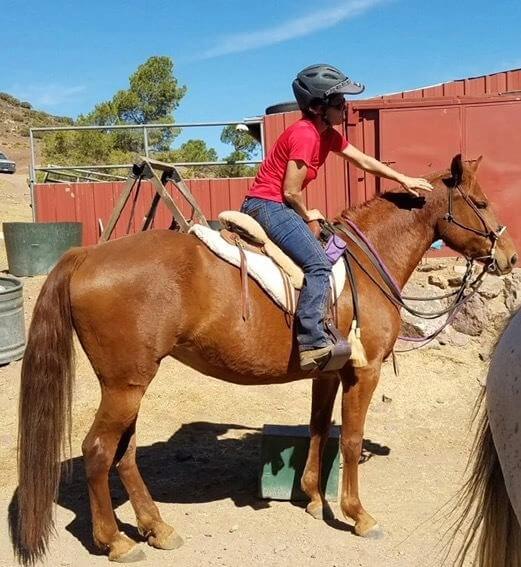 A brown horse with a rider wearing a helmet and red shirt