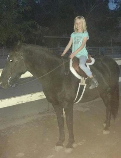 A young girl sitting on a black horse