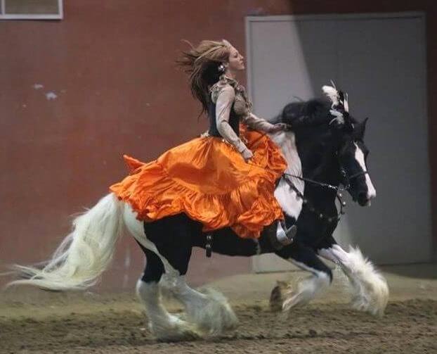 A woman in an orange dress skirt riding a black and white horse