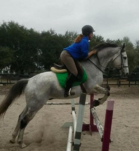 A mottled white horse jumping over two hurdles