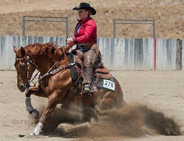 A brown horse being ridden in a pen