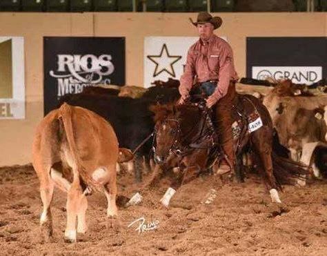 Corey Cushing on a horse next to several cows