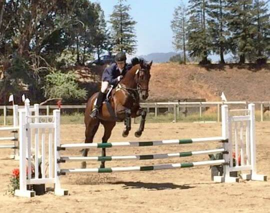 A horse and rider jumping over a hurdle