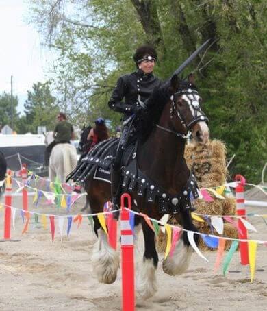A coffee colored horse riding in a lane