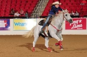 A white horse being ridden in an arena