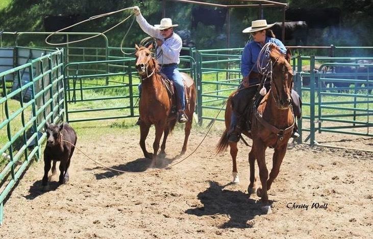 Two riders on horses with lassos