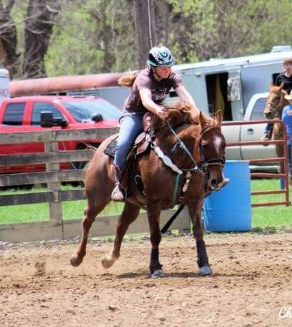A horse and its rider starting a gallop