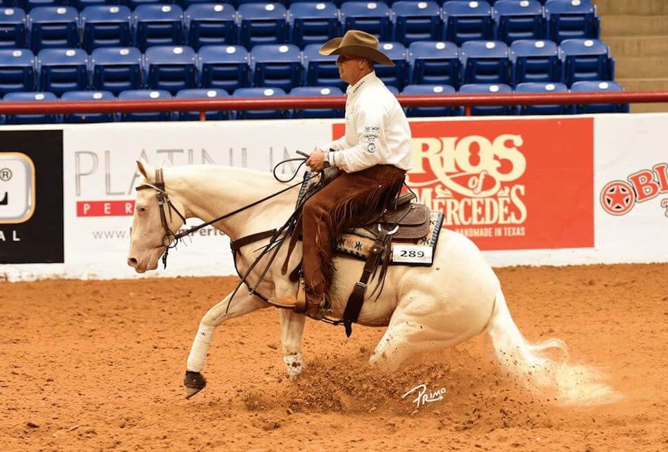 Corey Cushing riding SJR White Diamonds in a competition