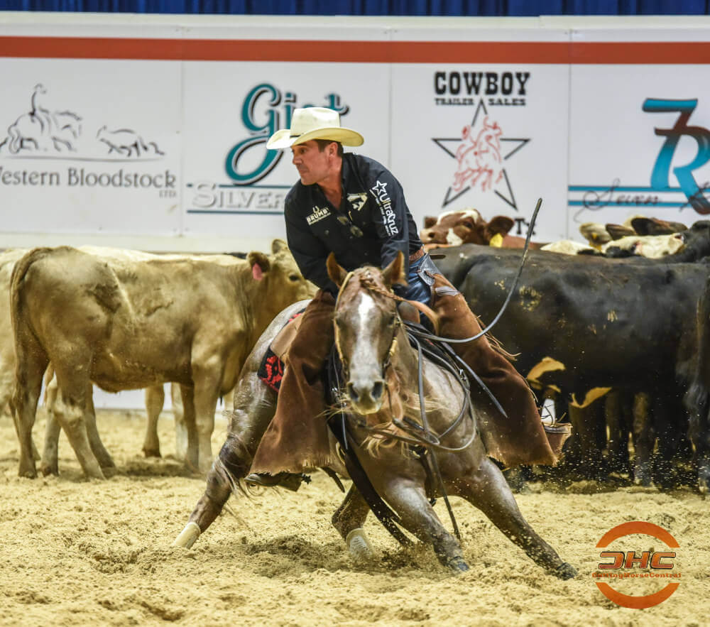 John Mitchell showing a horse at a competition