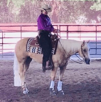 Woman riding palomino horse in a pen