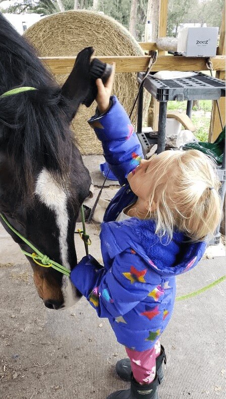 A small blonde haired girl brushing a horses ears
