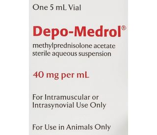 Medrol steroid for dogs