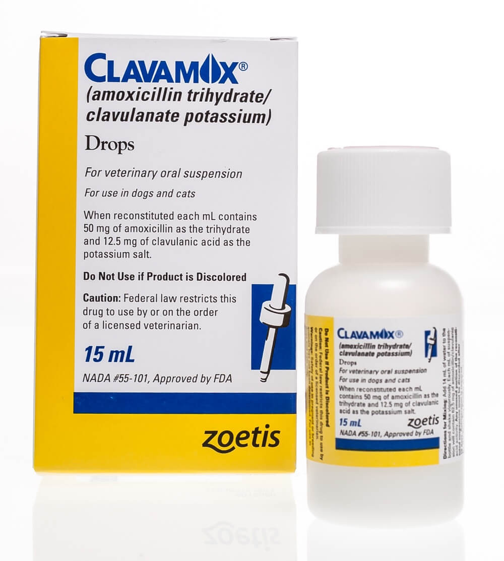 Clavamox® Drops Santa Cruz Animal Health