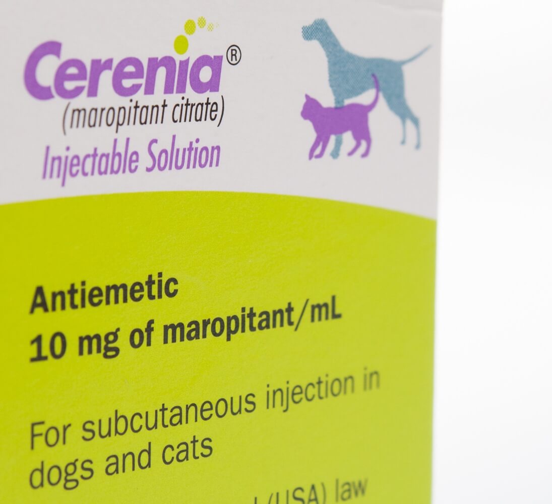 Cerenia® Injectable Solution Santa Cruz Animal Health