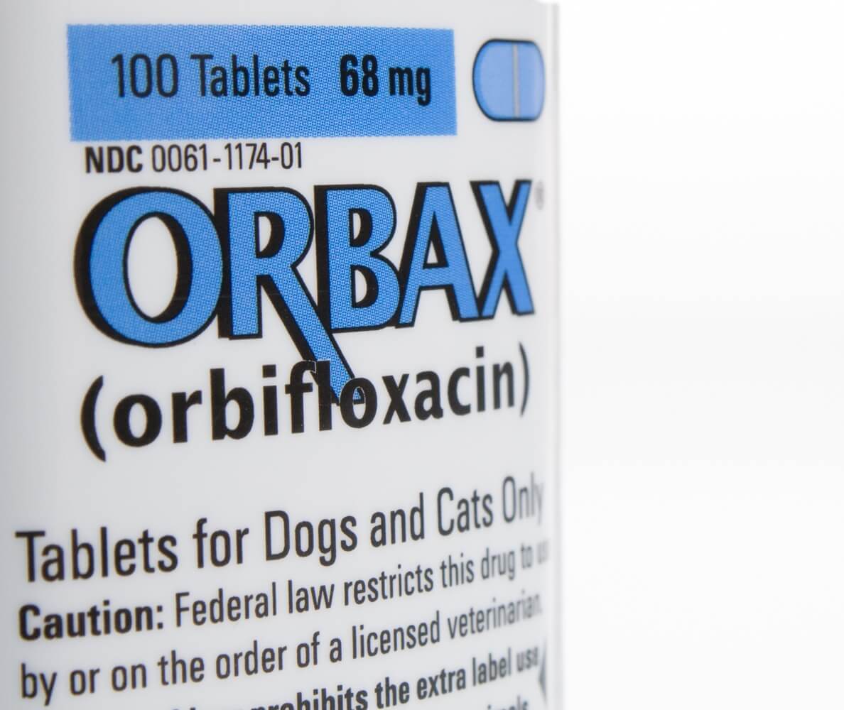 Orbax® Tablets Santa Cruz Animal Health