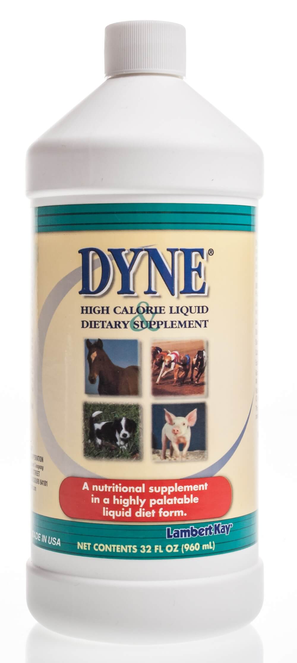 Dyne High Calorie Supplement for Dogs Santa Cruz Animal Health