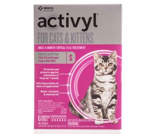 are guinea pigs allowed celery