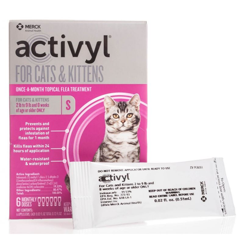 tapeworm removal in cats