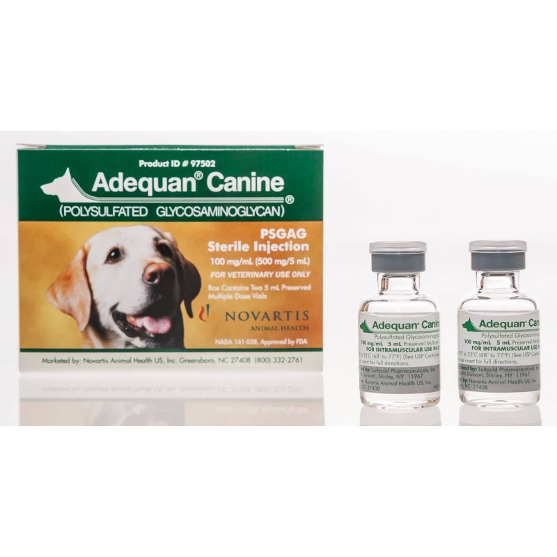 Adequan® Canine | Santa Cruz Animal Health