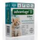 Advantage II Kitten, Turquoise, 2-5 lb, 4ct: sc-361951