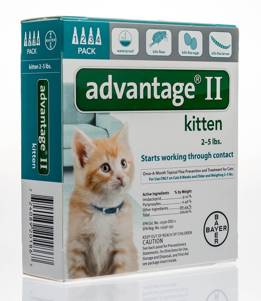 Advantage ii for cats best price sales