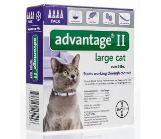 Advantage 2 large cat 6 pack new arrivals