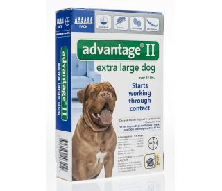 Advantage 2 for dogs new arrivals