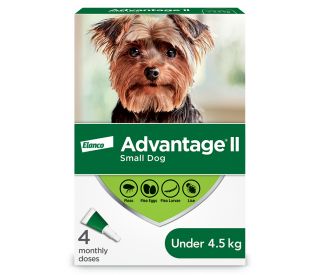 Advantage® II for Dogs Santa Cruz Animal Health