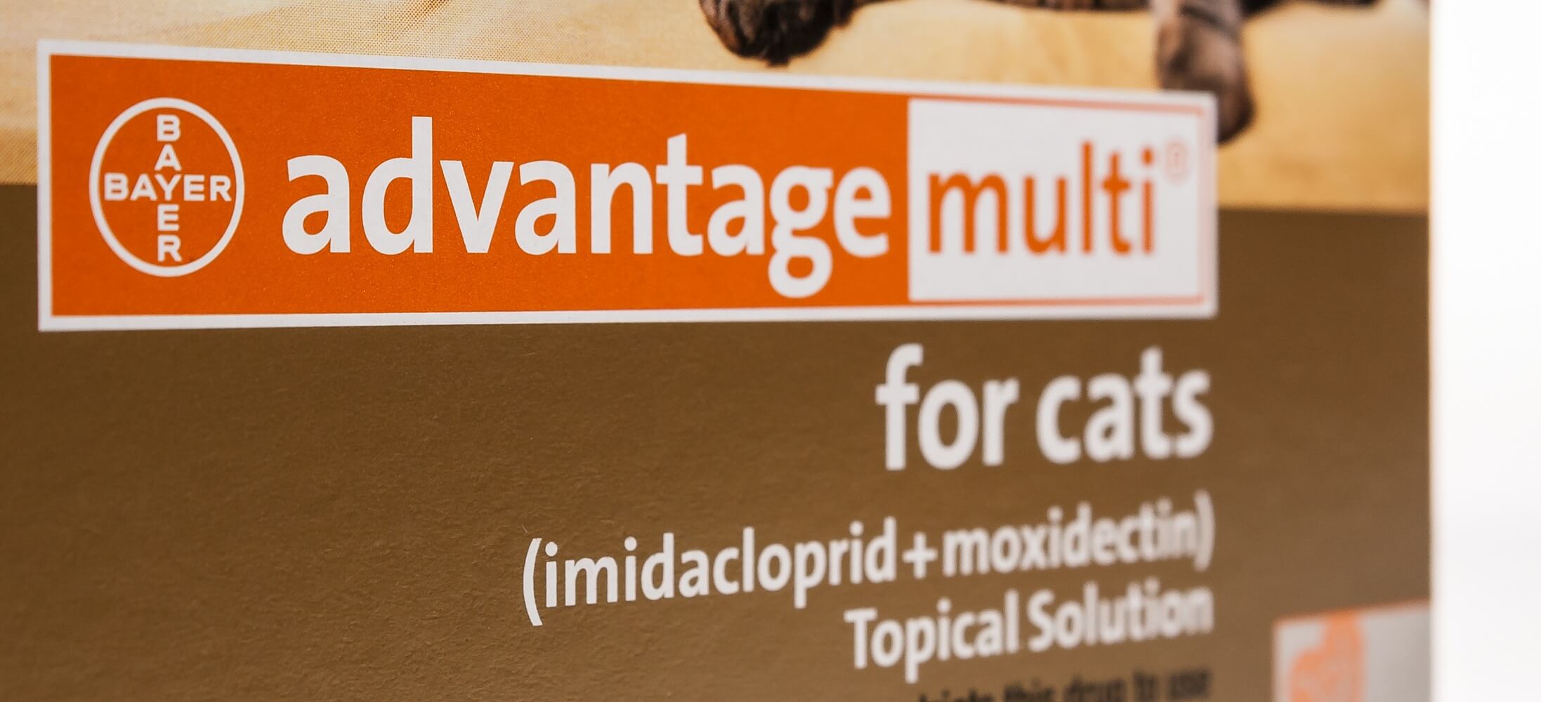 Shop Pharmacy for Sheep Rx Critical Care