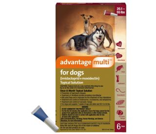 Advantage Multi for Dogs, Red, 20.1-55 lb, 6 ct packaging 330054 