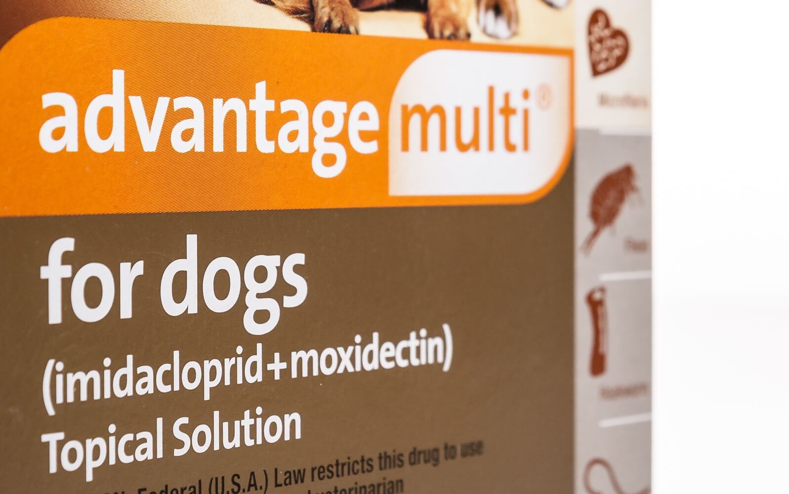 Shop Pharmacy for Sheep Rx Critical Care