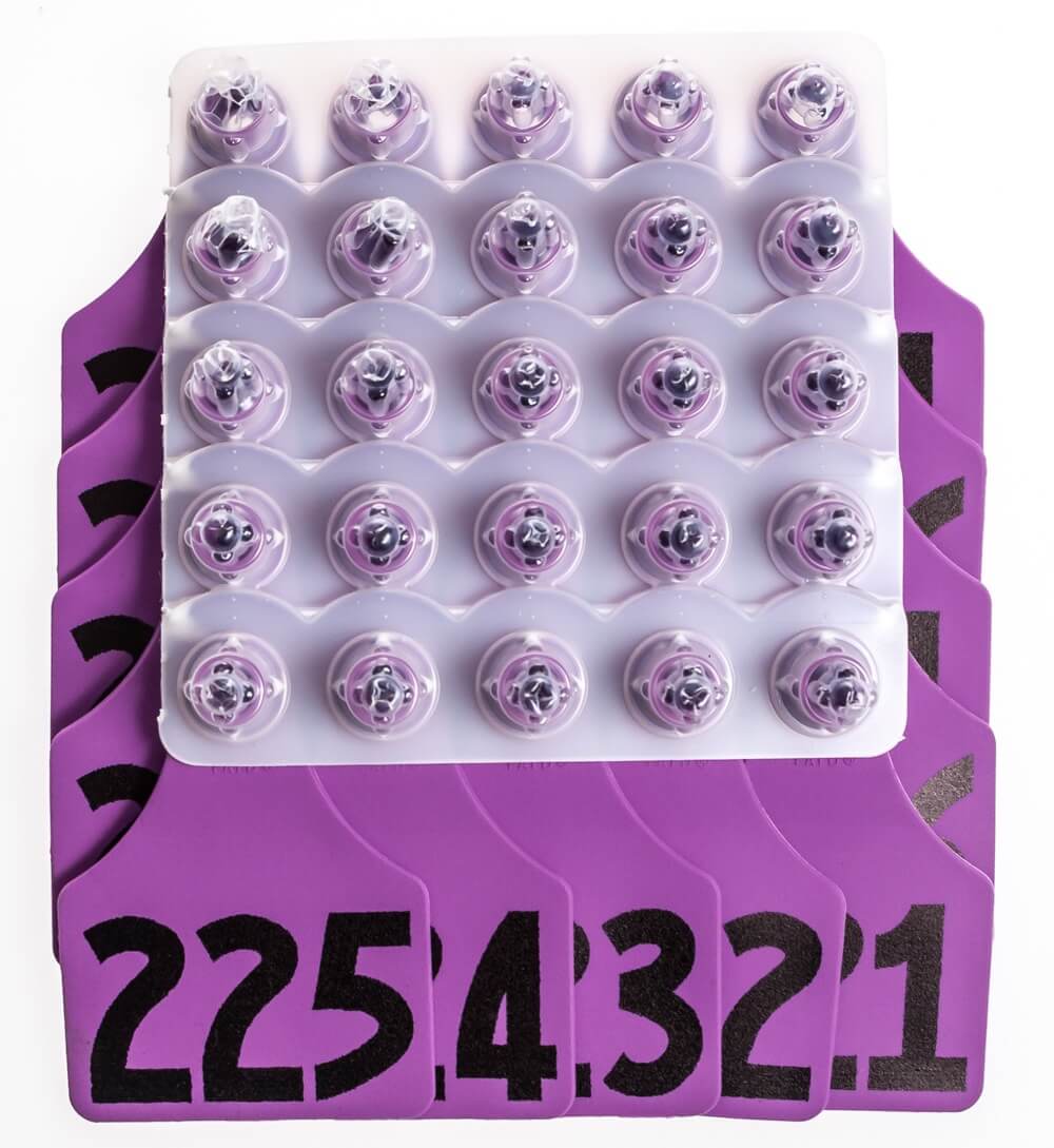 スノーボード ALLFLEX ASL-SPRING purple ALLFLEX ASL-SPRING purple