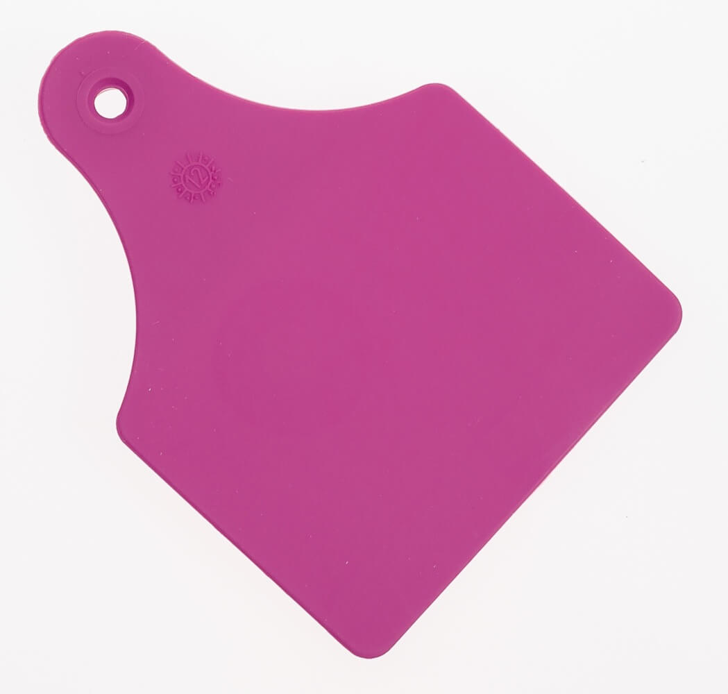 スノーボード ALLFLEX ASL-SPRING purple スノーボード ALLFLEX ASL-SPRING purple ALLFLEX ASL-SPRING purple