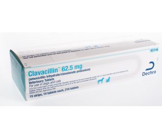 Amoxi-Clav Tabs, 62.5 mg, 210 ct packaging 400960 