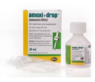 Amoxi® Drop | Santa Cruz Animal Health