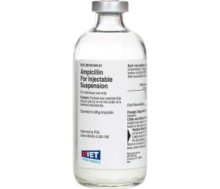 Ampicillin Susp. for Injection, 25 g product contents 416379