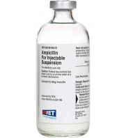 Ampicillin Susp. for Injection, 25 g product contents 416379